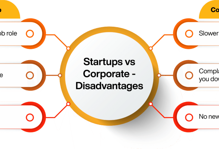 Difference Between Corporate and Startup Work Culture