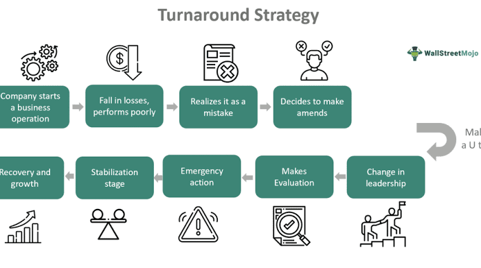  Case Study: Turnaround Strategy of a Failing Startup